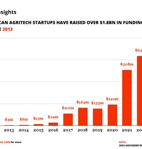 How Releaf Earth is using biochar to repair soils for Nigerian farmers 