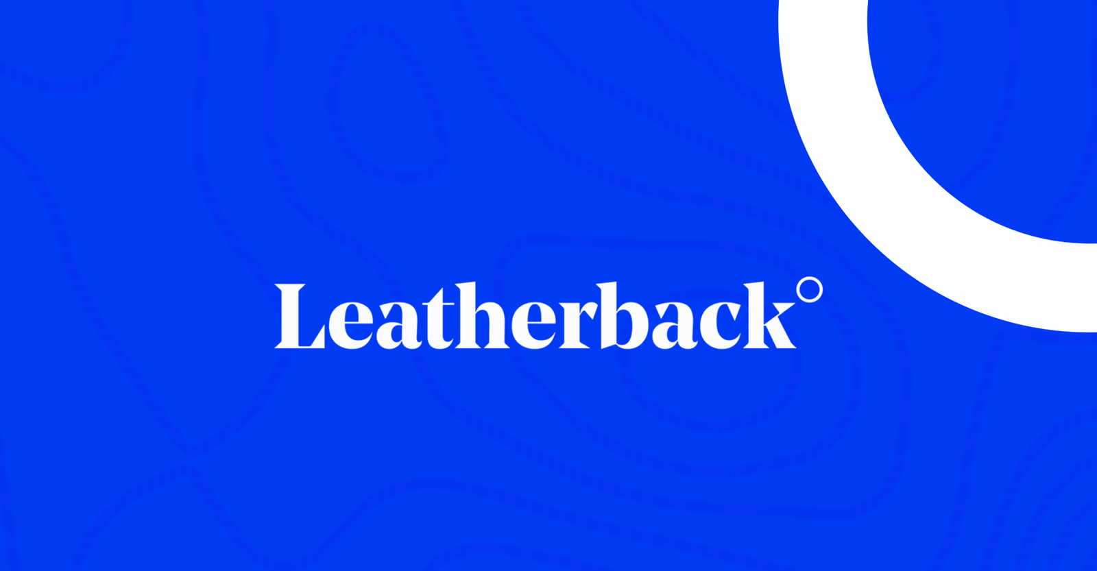 correction after turbulent year leatherback shifts to enterprise remittance under new leadership