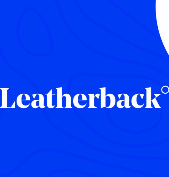 Correction: After turbulent year, Leatherback shifts to enterprise remittance under new leadership