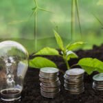 malisokoraisesfreshcapitaltoprotectafricasfarmersfromclimateshocks Content Krush malis oko raises fresh capital to protect africas farmers from climate shocks