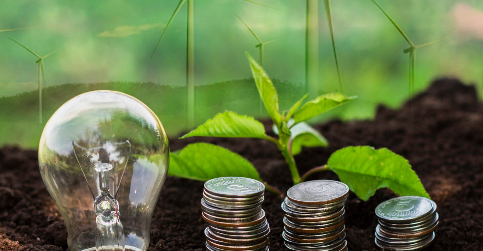 malisokoraisesfreshcapitaltoprotectafricasfarmersfromclimateshocks Content Krush malis oko raises fresh capital to protect africas farmers from climate shocks