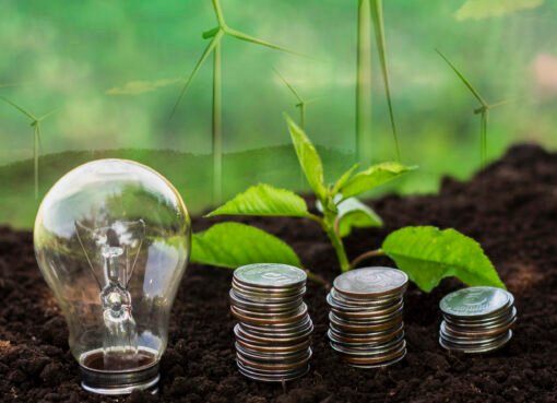 mali’s-oko-raises-fresh-capital-to-protect-africa’s-farmers-from-climate-shocks