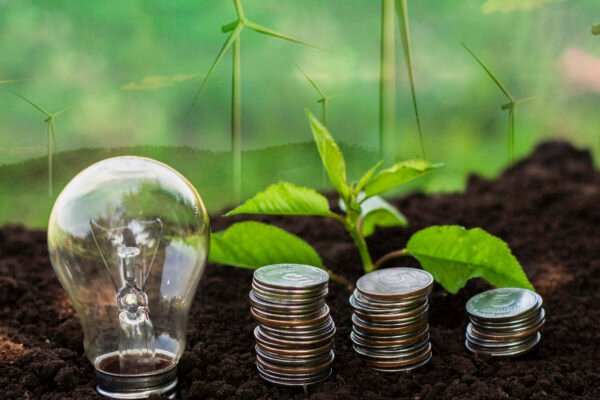 mali’s-oko-raises-fresh-capital-to-protect-africa’s-farmers-from-climate-shocks