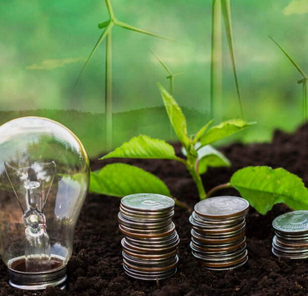 Mali’s OKO raises fresh capital to protect Africa’s farmers from climate shocks