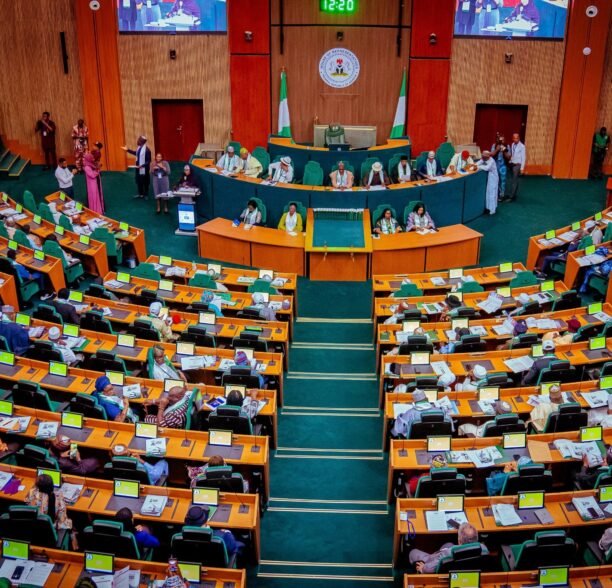 Nigeria moves to create single powerful regulator for fintechs with proposed bill