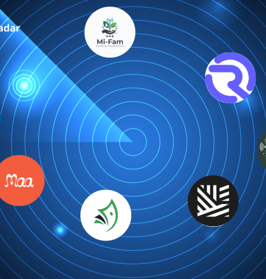 7 African startups advancing aquaculture, analytics, and access to finance